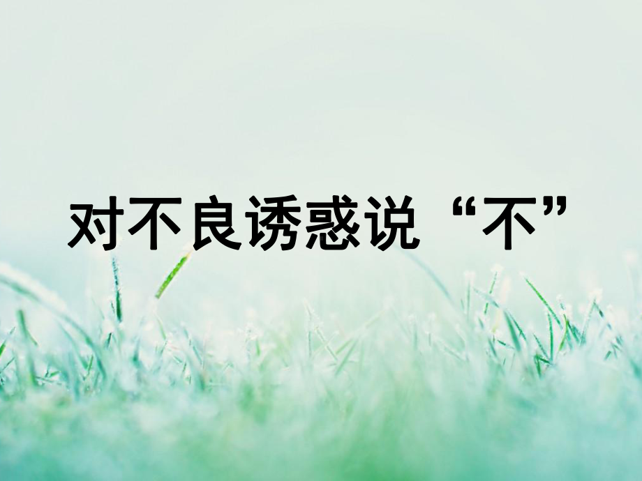 对不良诱惑说不 .ppt_第1页