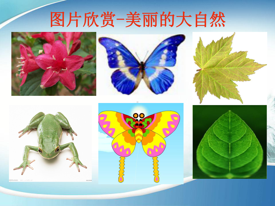 小学二年级轴对称图形课件 .ppt_第2页