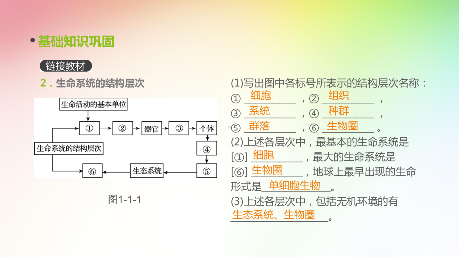 高中生物专题复习-第1讲-走进细胞课件.ppt_第2页