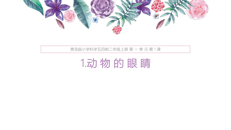 青岛版小学科学五四制二年级上册《动物的眼睛》说课稿课件.pptx_第1页