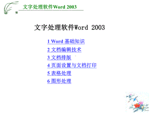 Word-2003课件.ppt