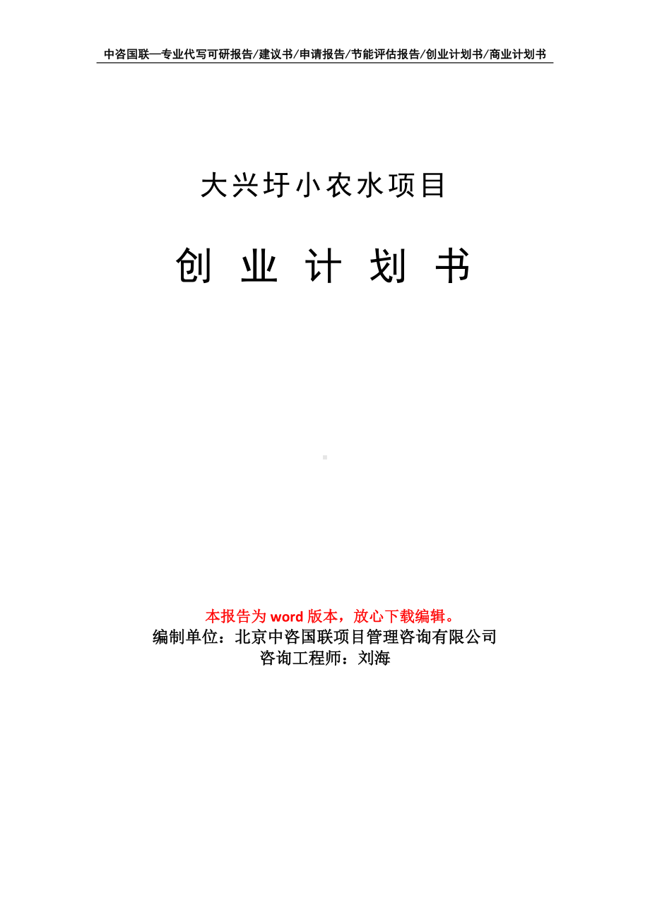 大兴圩小农水项目创业计划书写作模板.doc_第1页