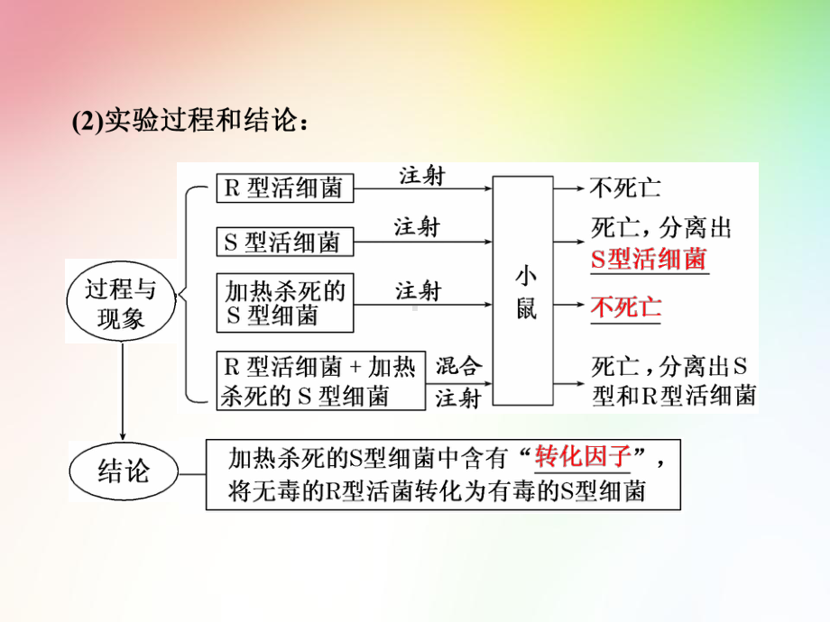 高中生物必修二-DNA是主要的遗传物质课件.ppt_第3页