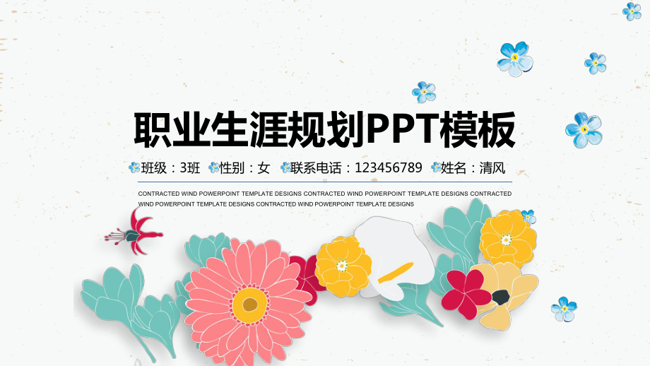 企业职业规划模板1 17.pptx_第1页