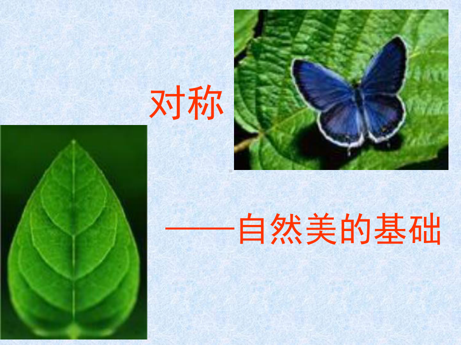 对称-自然美的基础 .ppt_第1页