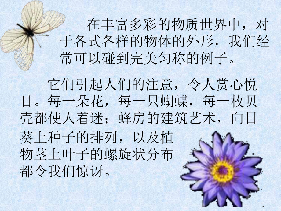 对称-自然美的基础 .ppt_第2页