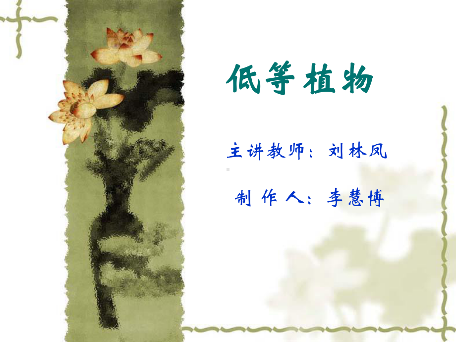 低等植物.ppt_第1页