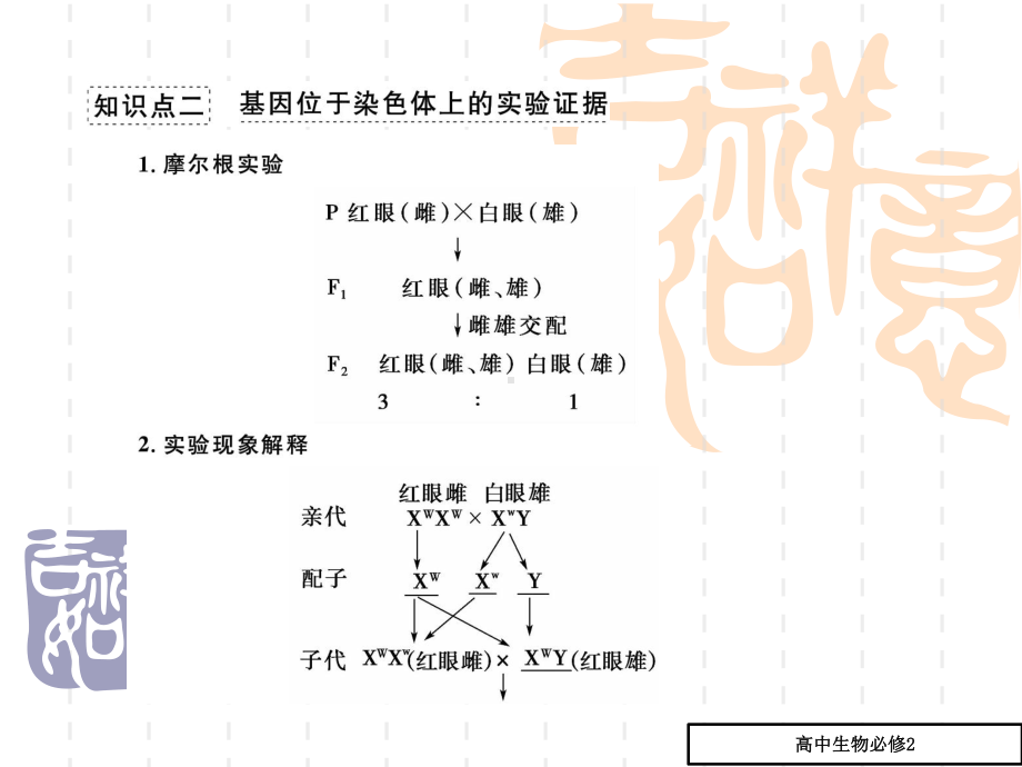 高三生物必修2章末知识整合复习课件5(第4讲-基因在染色体上·伴性遗传).ppt_第3页