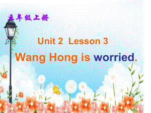 鲁科版五U五英语上册nit2-Feelings-Lesson3WangHong-is-worried课件.ppt