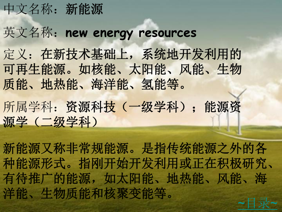 新能源 (1).ppt_第3页