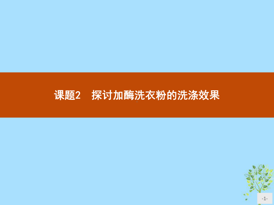 高中生物人教版选修1课件42-探讨加酶洗衣粉的洗涤效果.pptx_第1页