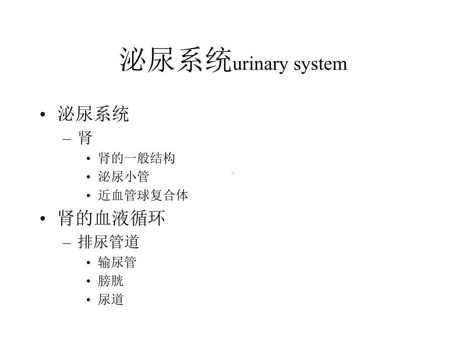 泌尿系统.ppt_第1页