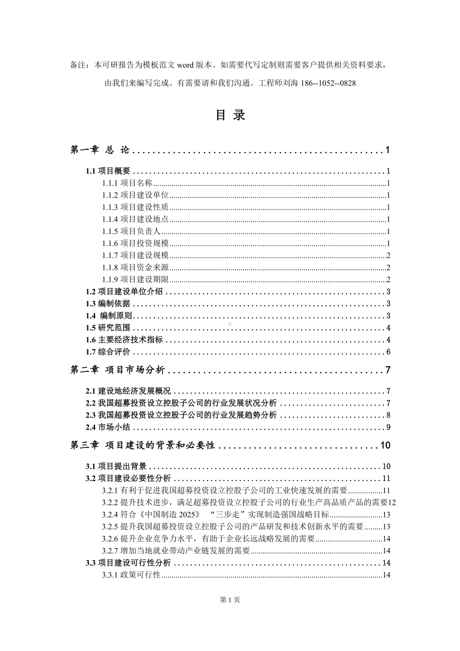 超募投资设立控股子公司的项目可行性研究报告模板-立项备案拿地.doc_第2页