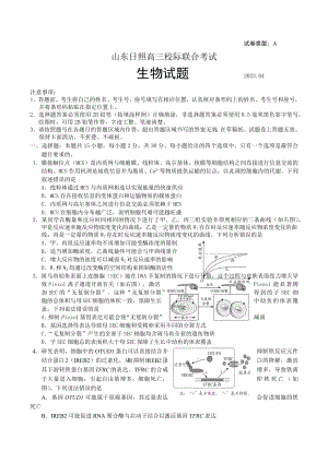 山东省日照市2023届高三下学期二模生物试卷+答案.docx