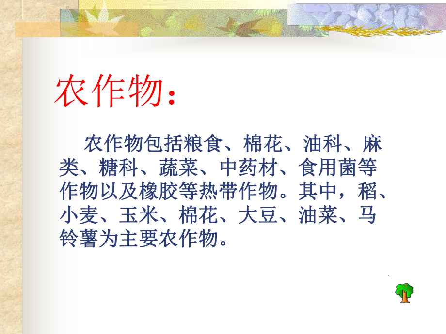 常见的农作物 .ppt_第3页