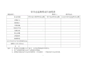 安全总监制度试行进度表参考模板范本.doc