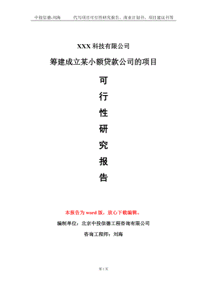 筹建成立某小额贷款公司的项目可行性研究报告模板-定制代写.doc