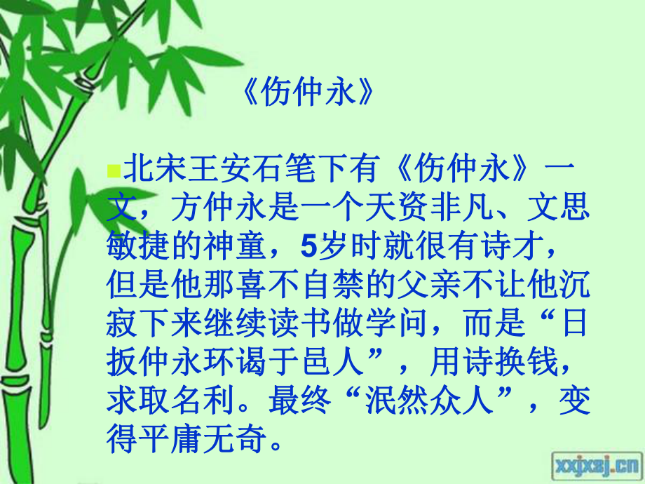 寂寞与辉煌.ppt_第2页