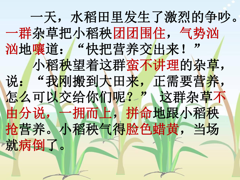 小稻秧脱险记课件 .ppt_第3页