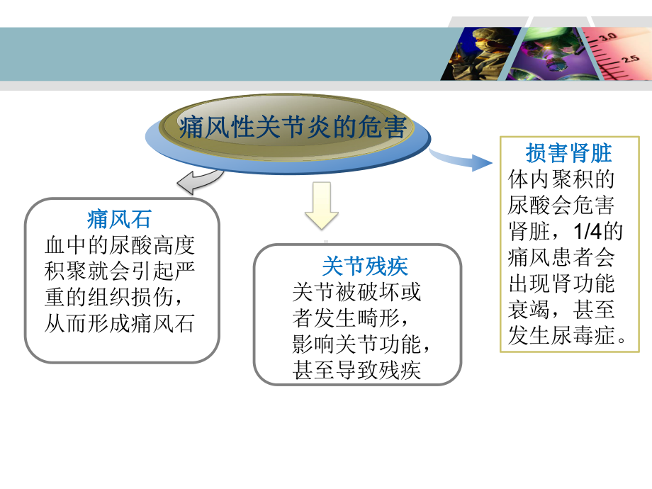 高血压肾病合并痛风性关节炎个案护理-教学课件.ppt_第3页