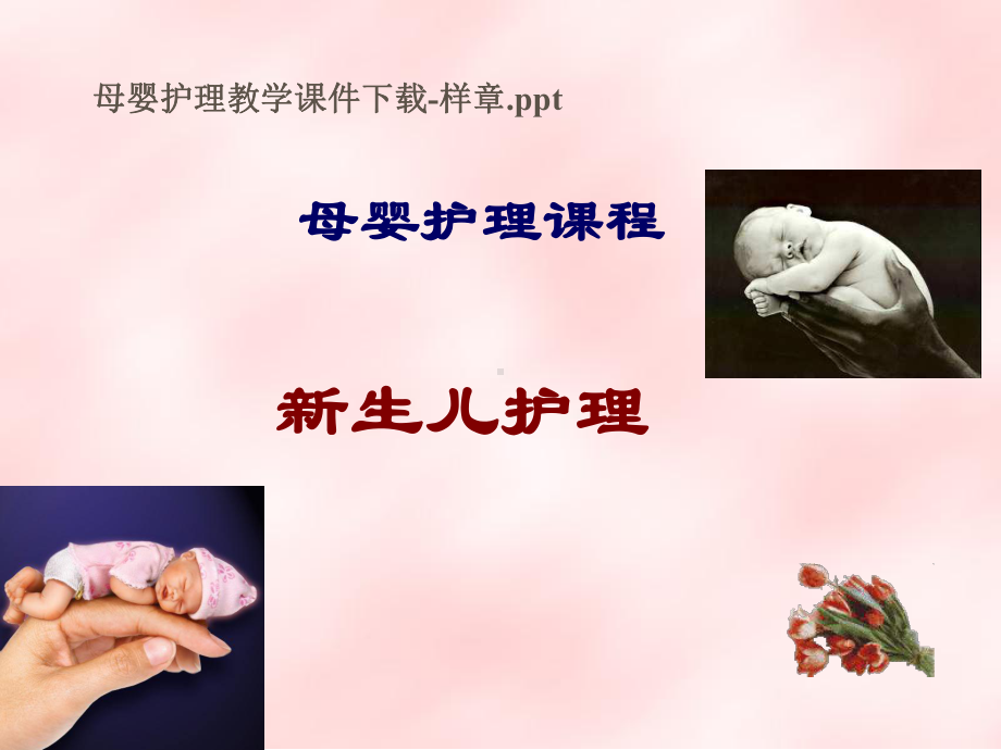 母婴护理.ppt_第1页