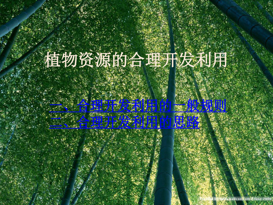 植物资源的合理开发利用.ppt_第1页