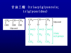 水产食品化学.ppt