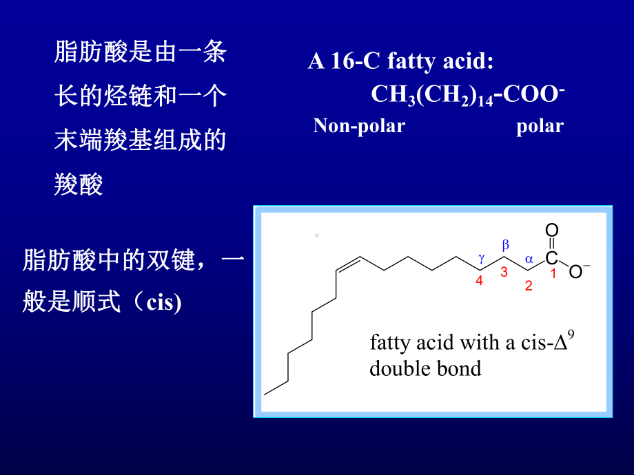 水产食品化学.ppt_第2页