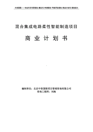 混合集成电路柔性智能制造项目商业计划书写作模板-融资招商.doc