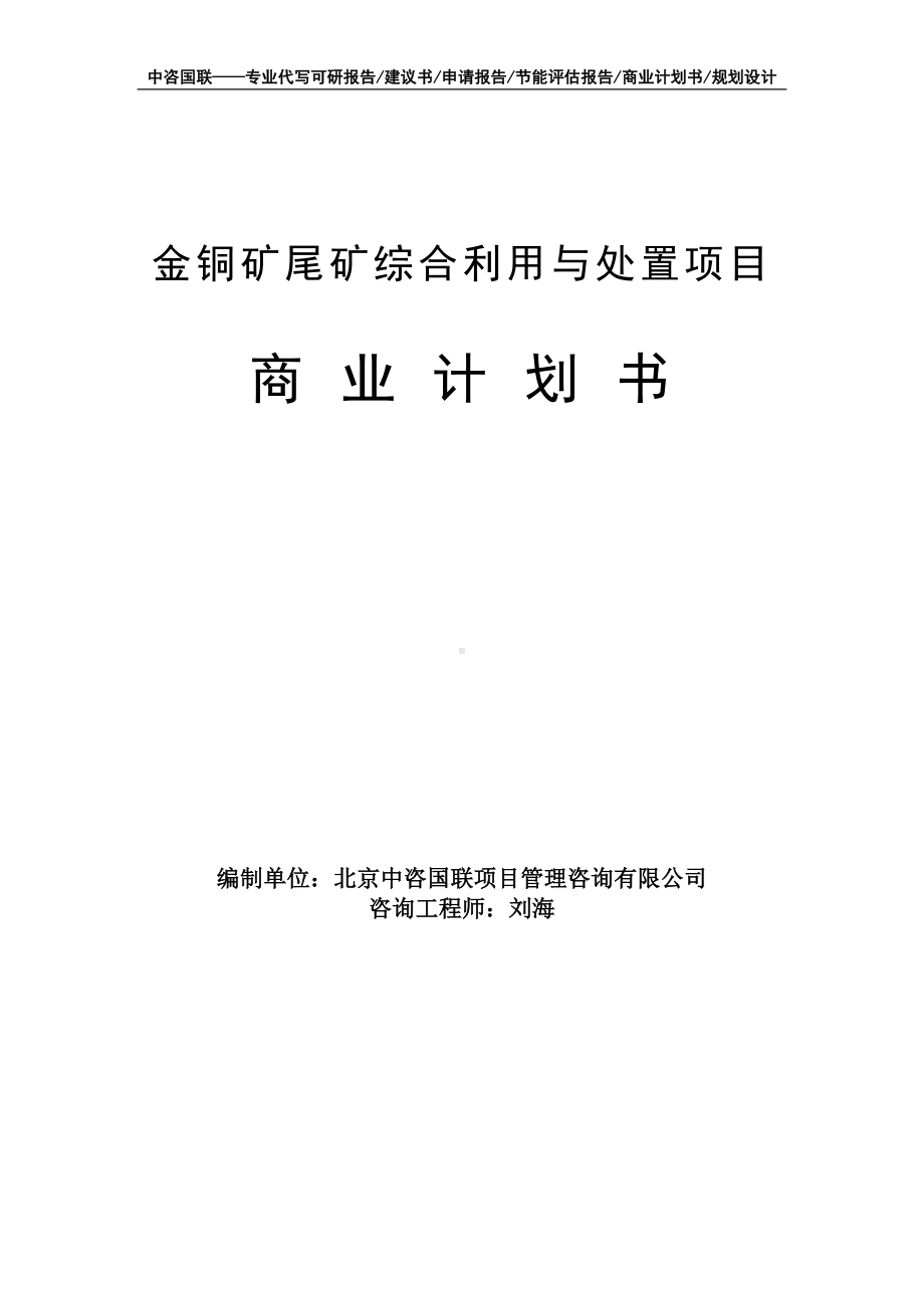 金铜矿尾矿综合利用与处置项目商业计划书写作模板-融资招商.doc_第1页