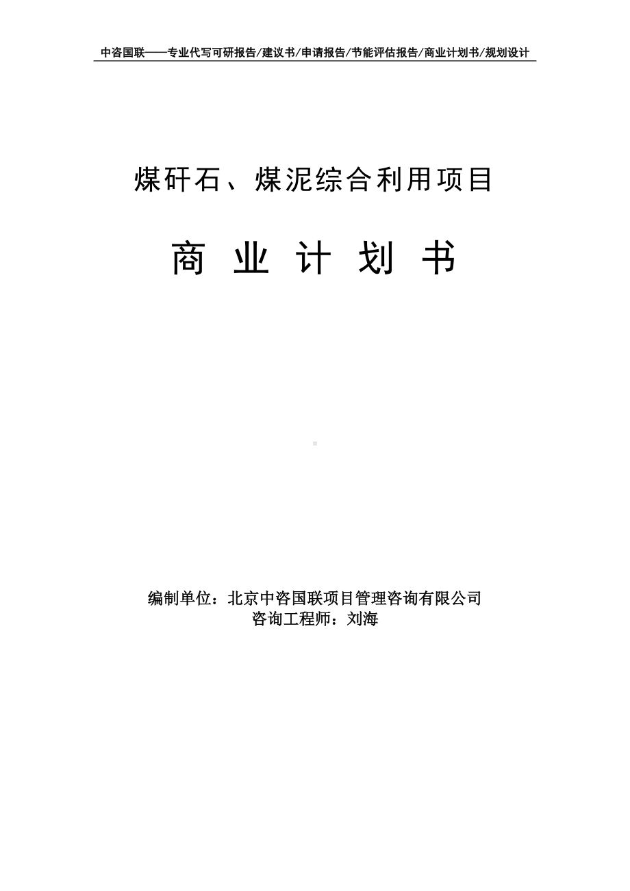 煤矸石、煤泥综合利用项目商业计划书写作模板-融资招商.doc_第1页