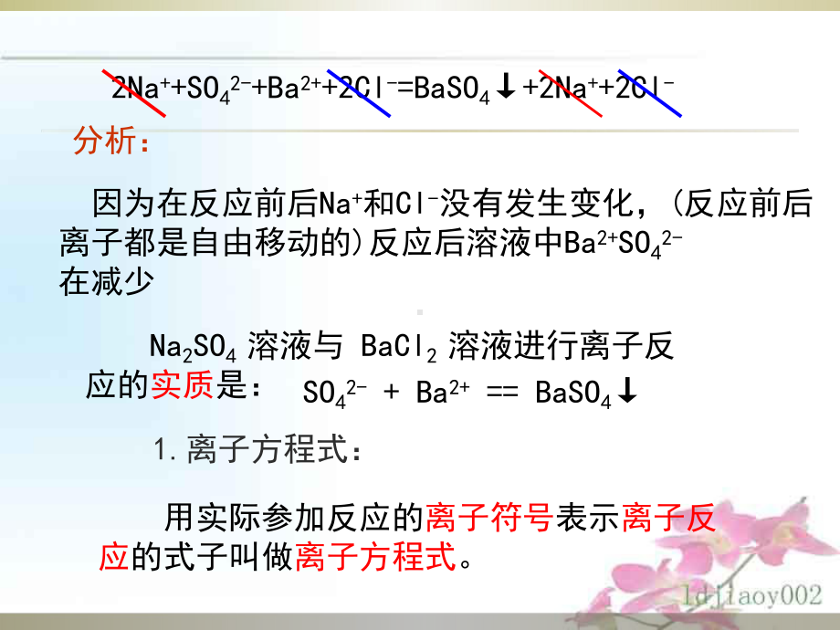 离子反应第三课时.ppt_第3页