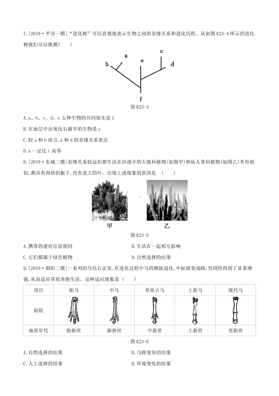 (北京专版)中考生物复习主题七生物的生殖发育和遗传变异课时训练23生命的起源和生物进化.docx_第3页