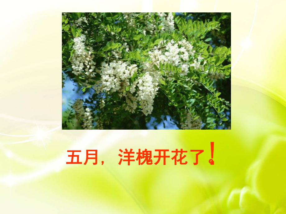 槐乡五月 .ppt_第2页