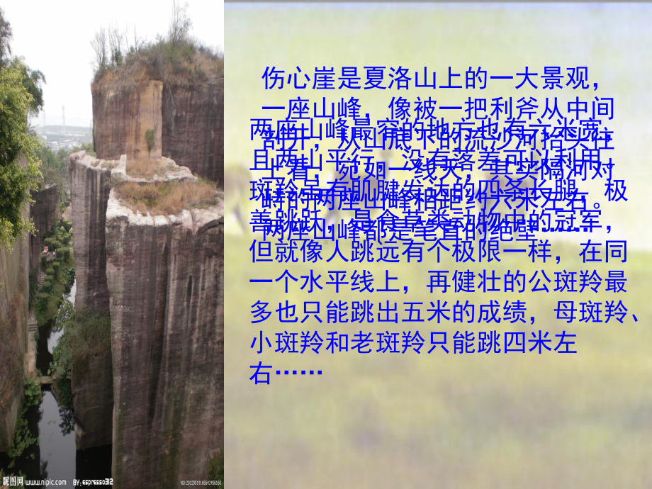 生命桥PPT2.ppt_第3页