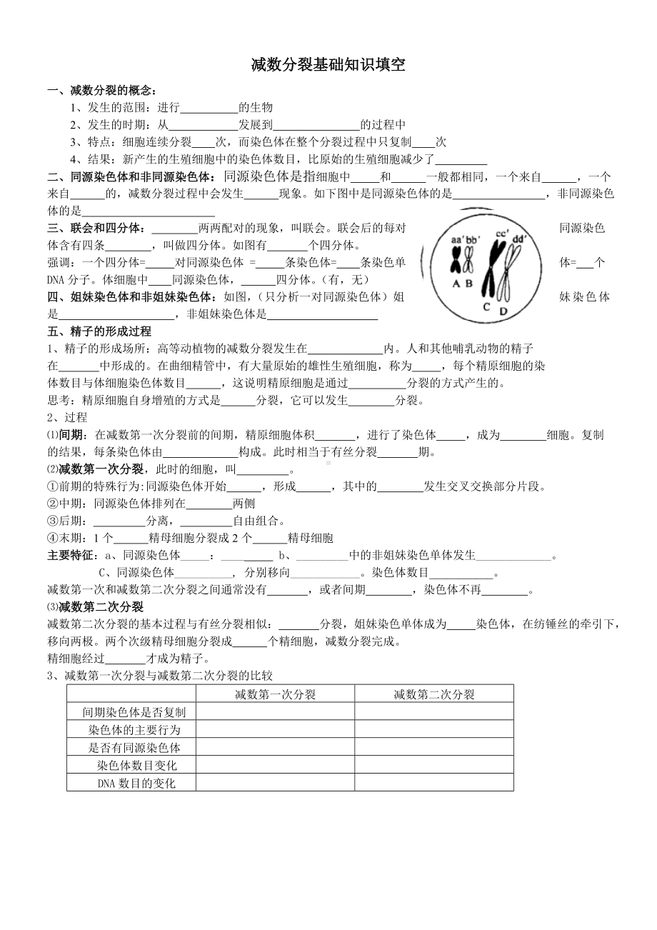 (完整版)减数分裂规律总结与练习.doc_第1页