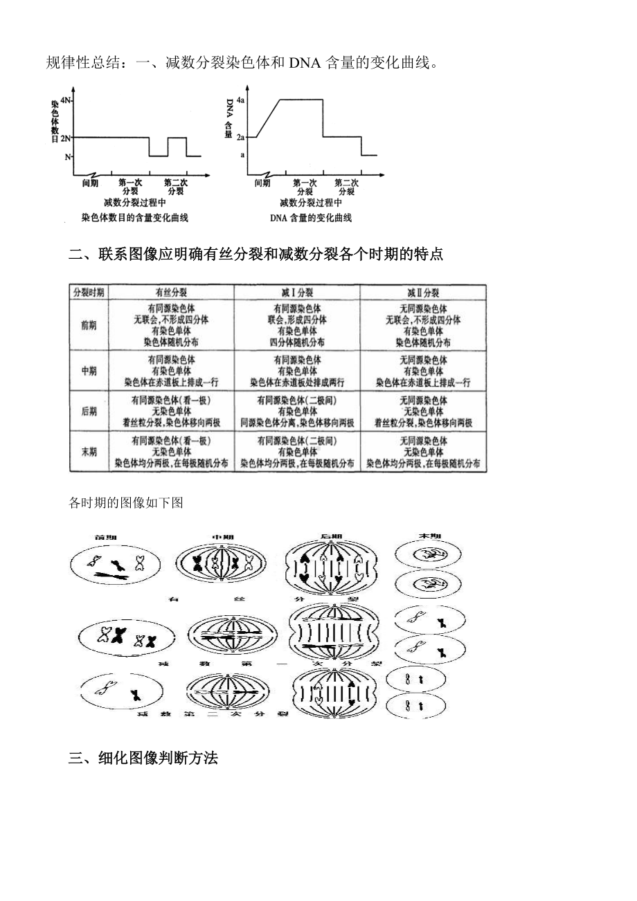 (完整版)减数分裂规律总结与练习.doc_第2页