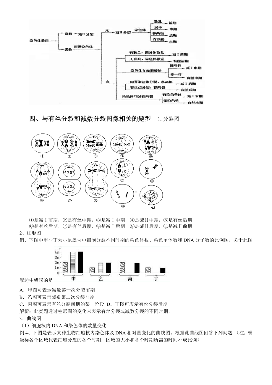 (完整版)减数分裂规律总结与练习.doc_第3页