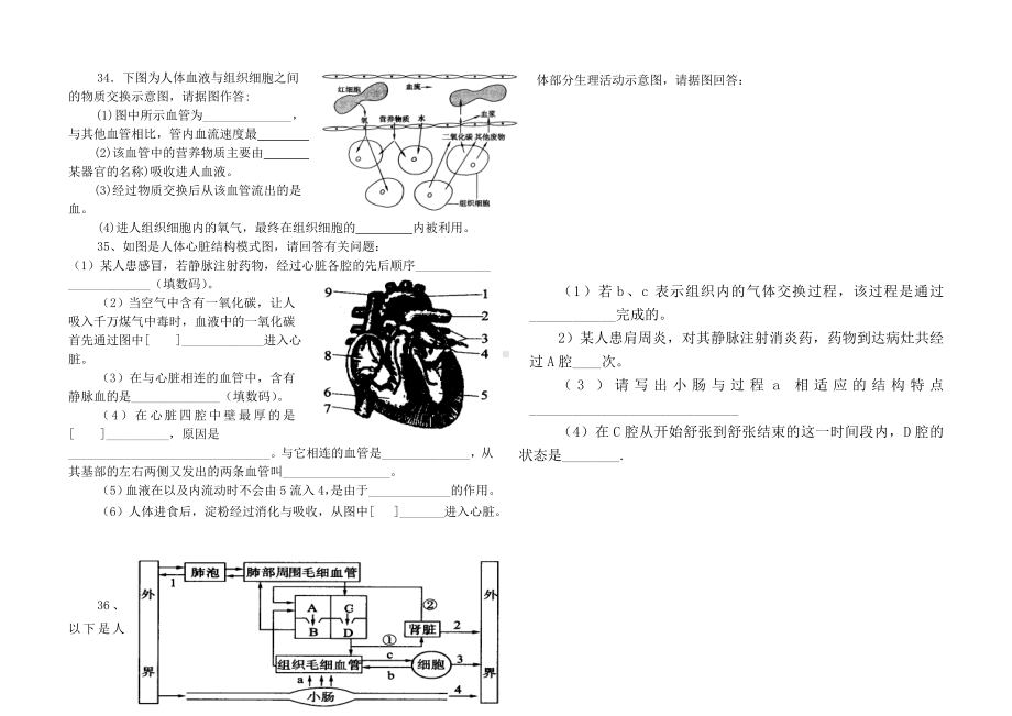 (完整版)人体内物质的运输测试题.doc_第3页