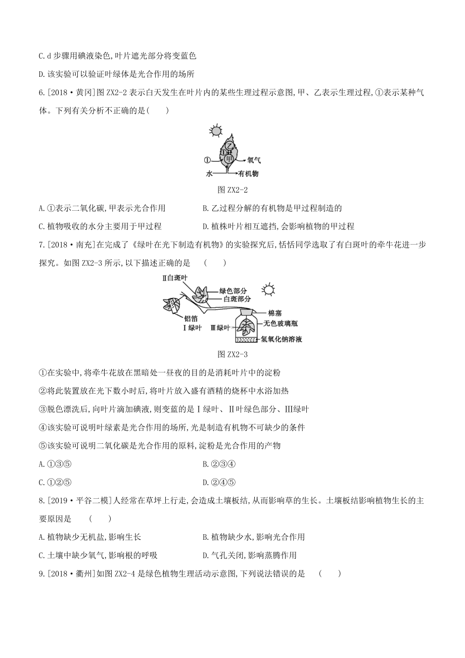 (北京)中考生物复习-专项训练(二)绿色植物的光合-呼吸-蒸腾三大生理作用.doc_第2页