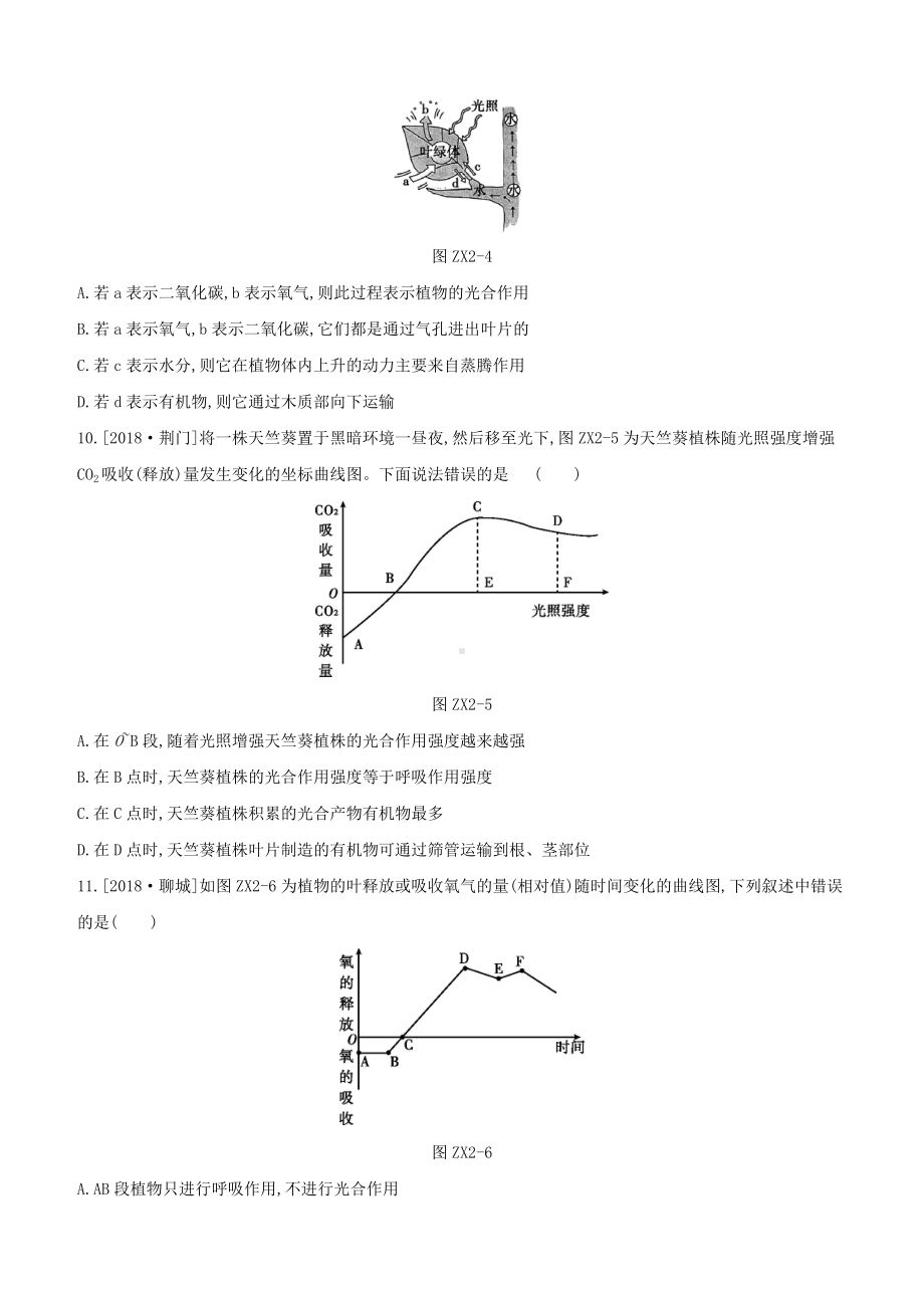 (北京)中考生物复习-专项训练(二)绿色植物的光合-呼吸-蒸腾三大生理作用.doc_第3页