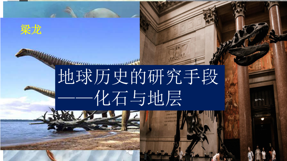 1.3地球的历史ppt课件-2023新人教版（2019）《高中地理》必修第一册(001).pptx_第3页