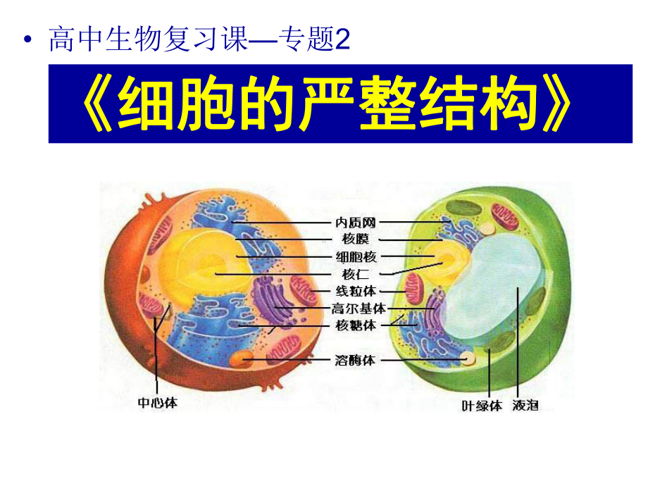 细胞的严整结构.ppt_第1页