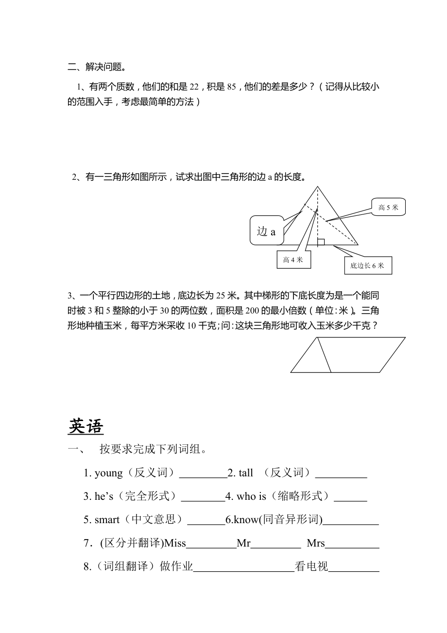 (完整)五年级语数英综合卷(一).doc_第3页