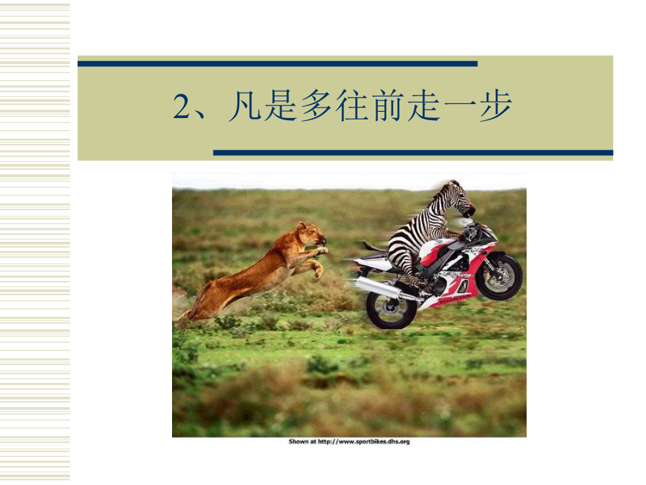 生命的哲理.ppt_第3页