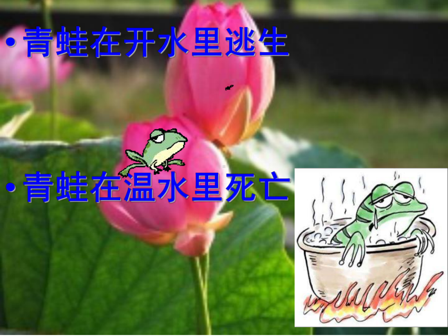 生于忧患.ppt_第2页