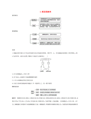 (北京考试重点推荐)最新高考生物一轮复习-第一篇-解题模板篇-3-模型图解类练习练习试卷.doc
