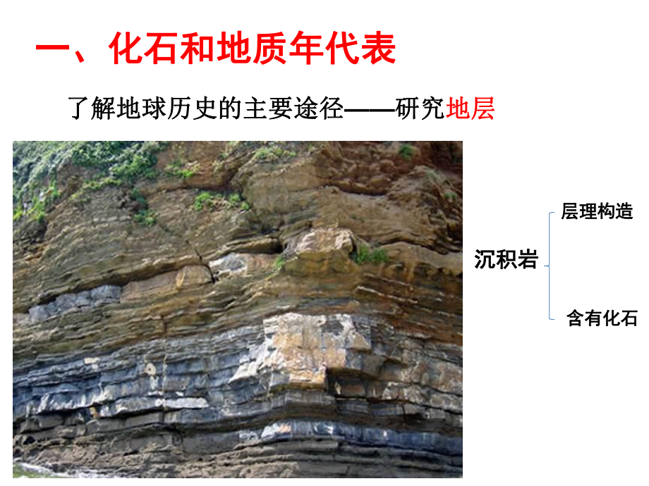 1.3地球的历史 （29张PPT）ppt课件-2023新人教版（2019）《高中地理》必修第一册.pptx_第3页