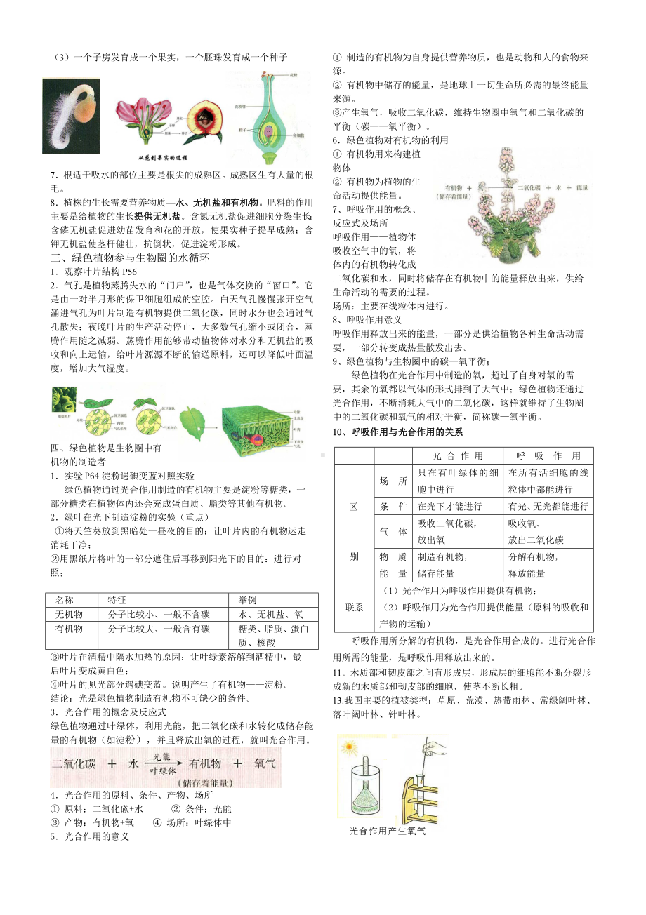 (完整)非常好用鲁教版生物六年级下复习资料.doc_第2页