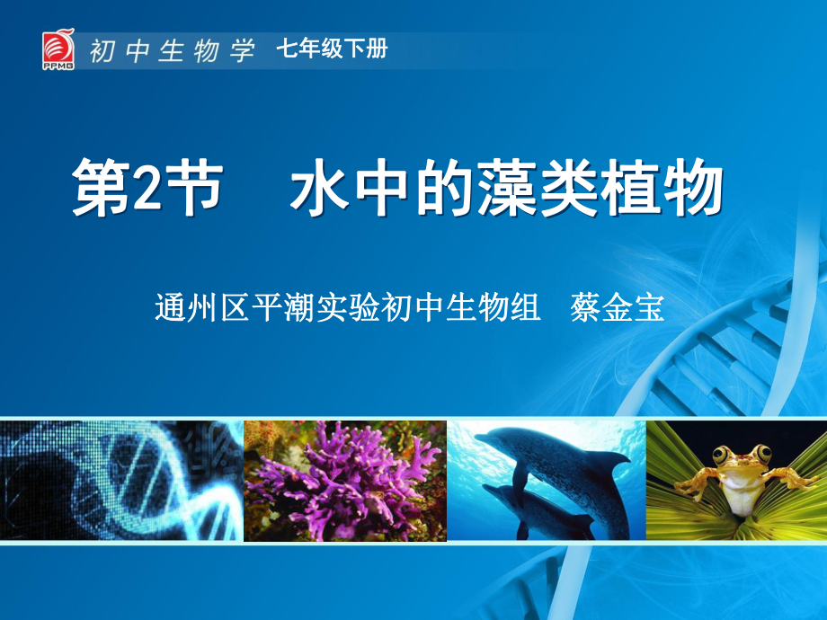 水中的藻类植物 .ppt_第1页